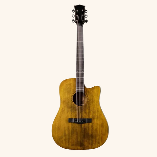 SQOE Dreadnaught Solid Spruce Top Acoustic Guitar